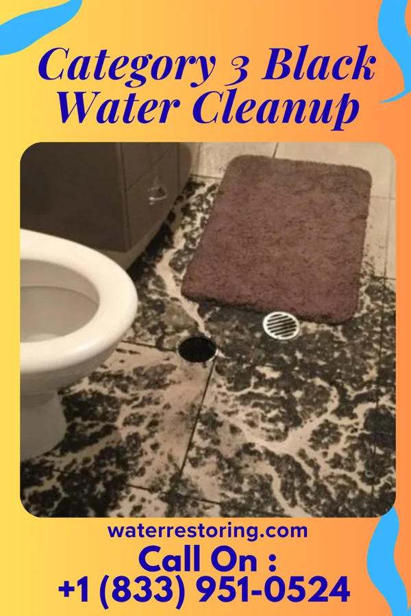 Category 3 Black Water Cleanup in Bear River City, UT
