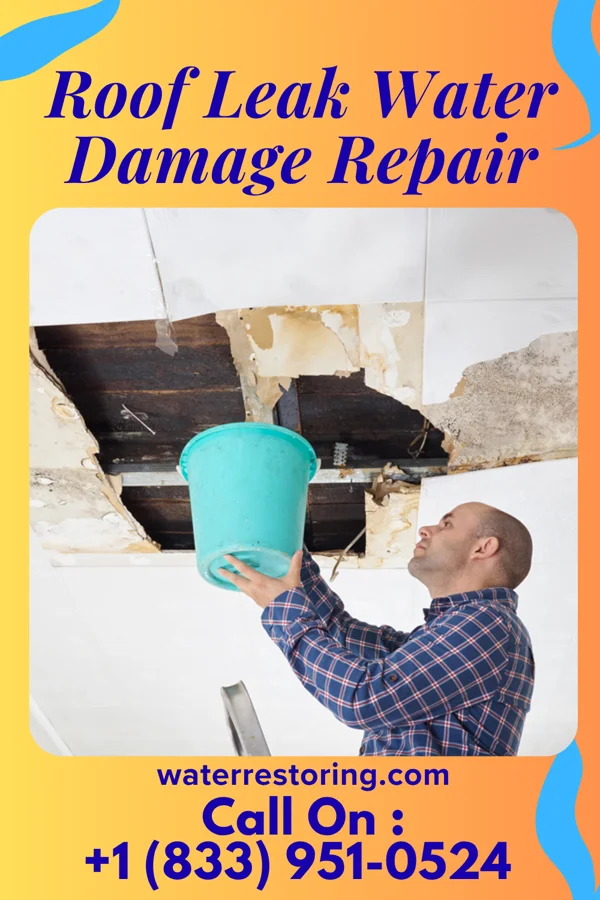 Roof Leak Water Damage Repair in Bear River City, UT